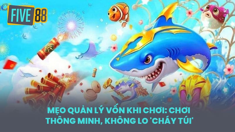 Mẹo Quản Lý Vốn Khi Chơi: Chơi Thông Minh, Không Lo 'Cháy Túi'