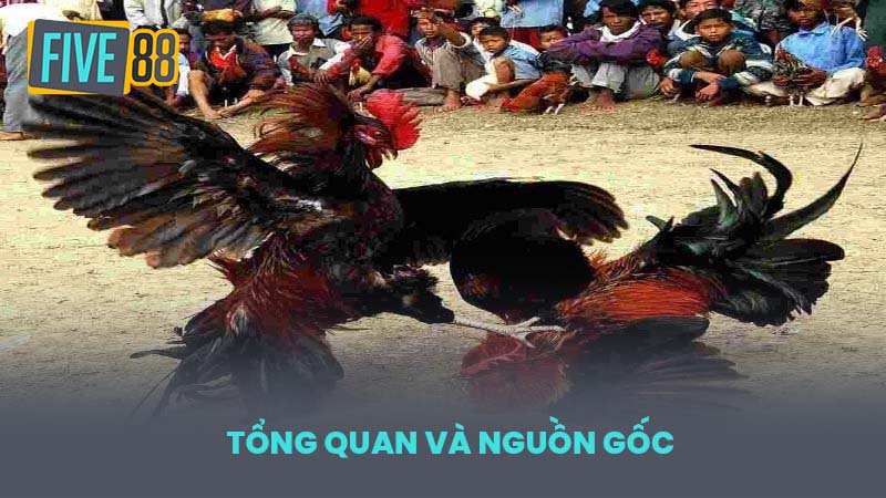 Tổng quan và nguồn gốc