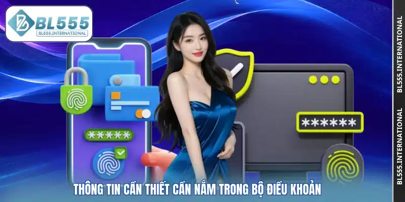 Thông tin cần thiết cần nắm trong bộ điều khoản
